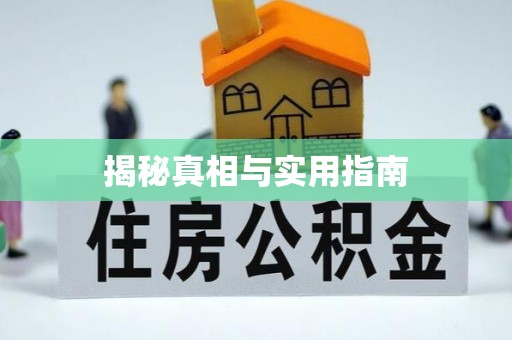 鼎城揭秘真相与实用指南