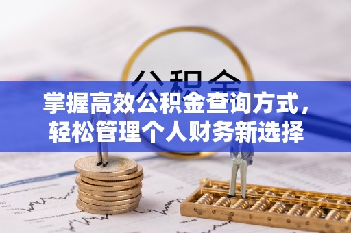 鼎城掌握高效公积金查询方式，轻松管理个人财务新选择