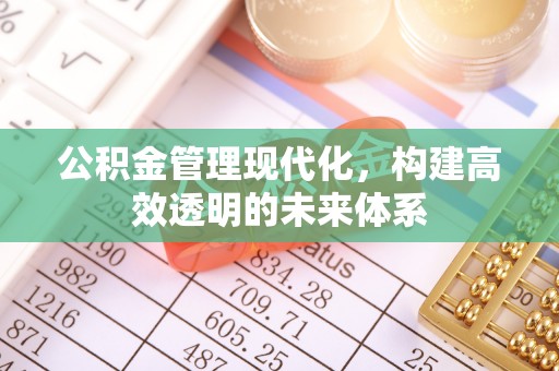鼎城公积金管理现代化，构建高效透明的未来体系