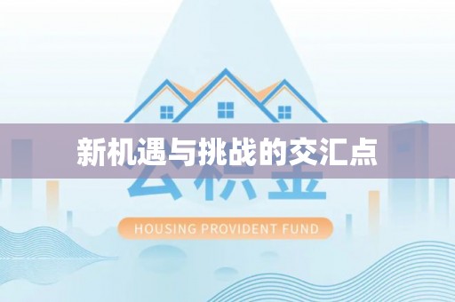 鼎城新机遇与挑战的交汇点