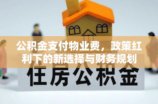 鼎城公积金支付物业费，政策红利下的新选择与财务规划