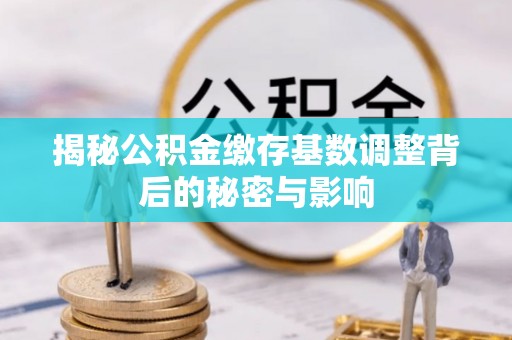 鼎城揭秘公积金缴存基数调整背后的秘密与影响