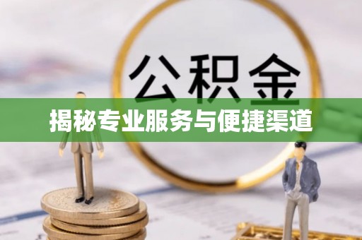 鼎城揭秘专业服务与便捷渠道