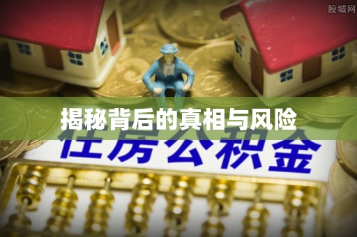 鼎城揭秘背后的真相与风险
