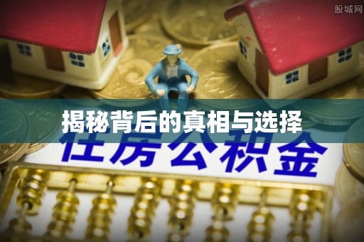 鼎城揭秘背后的真相与选择