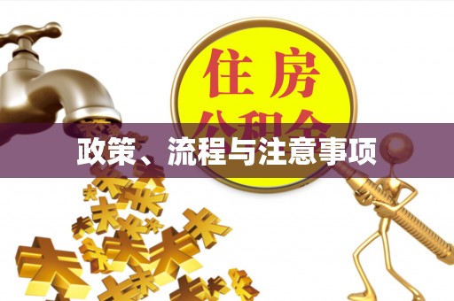 鼎城政策、流程与注意事项